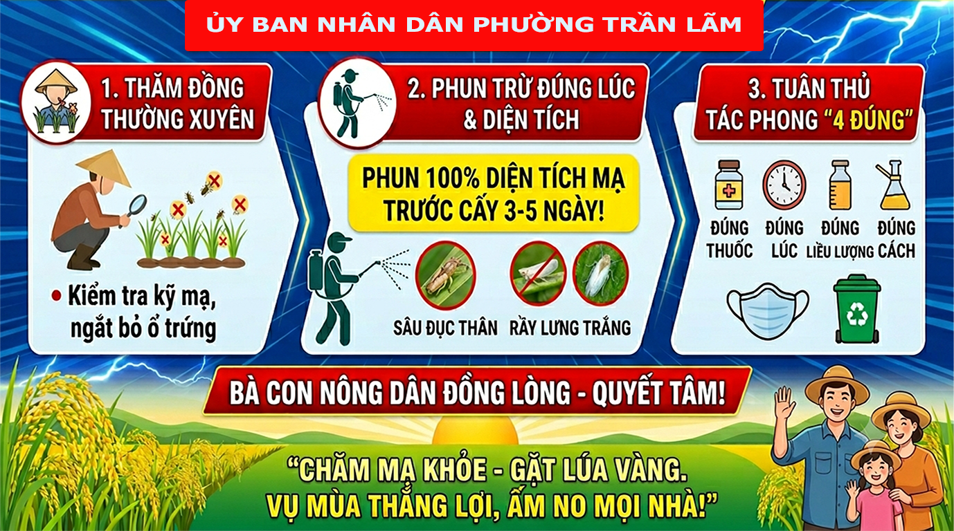 Phường Trần Lãm Chủ động phòng trừ sâu bệnh trên mạ vụ mùa năm 2026